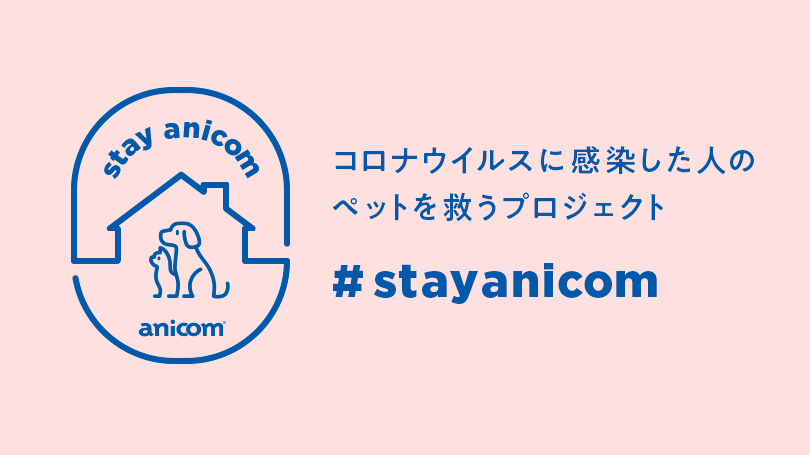コロナ感染者のペットを無償でお預かりする Stayanicom プロジェクトを始動 アニコム ホールディングス株式会社のプレスリリース