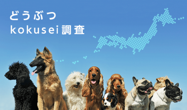 犬の健康寿命延伸を目的とした どうぶつkokusei調査 結果公表 アニコム ホールディングス株式会社のプレスリリース