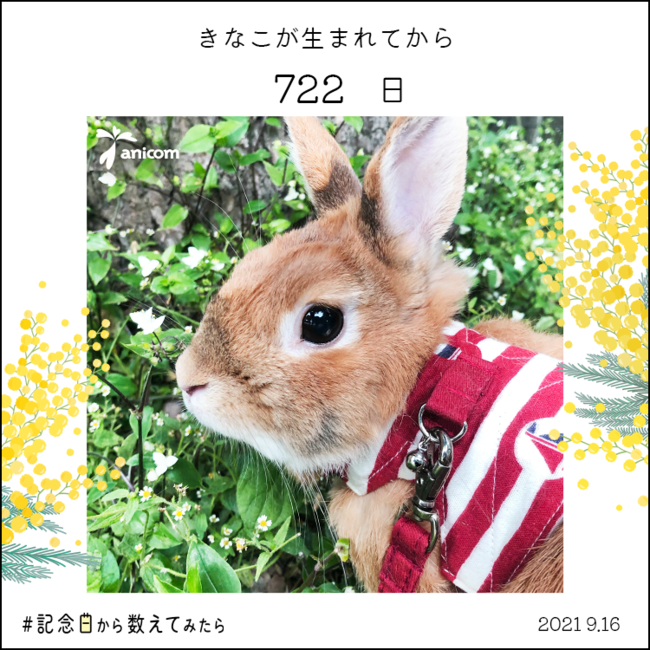 ▲生まれてからのパターン