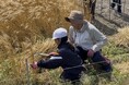 トリドールHD、丸亀市・讃岐広島の小中学生と育てた小麦でうどんづくりを実施