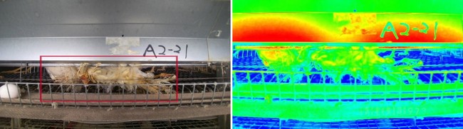 可視光カメラ（左）と赤外線カメラ（右）のダブルチェックにより高い精度での検出が可能。