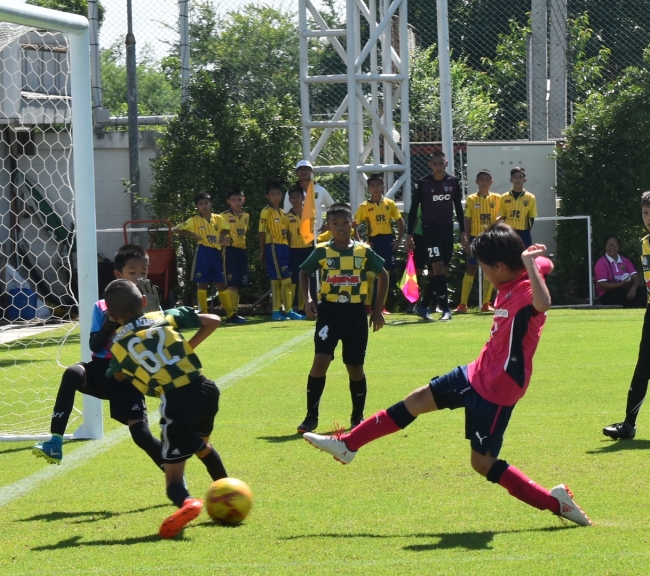 サッカー国際交流イベント Cerezo Cup セレッソ カップ を開催 日タイの交流深める Dlhdのプレスリリース