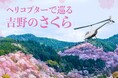 AirX、桜の名所・吉野千本桜を上空から鑑賞するヘリコプター遊覧を3日間限定で開催