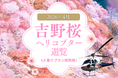 「最大5名で空から花見」吉野千本桜ヘリコプター遊覧、好評につき定員拡大