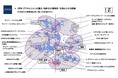 特許×論文の融合解析で研究から開発の全体を俯瞰する技術戦略策定支援サービスを開始