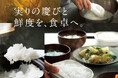 「実りの慶びと鮮度を、食卓へ。」マーナのお米道具で新米を味わうプレゼントキャンペーンを開催