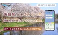 茨城県つくばみらい市が住民向けLINE公式アカウントを開設!