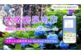 大阪府泉南市が住民向けLINE公式アカウントをリニューアル! プレイネクストラボ株式会社がシステム提供と構築を支援