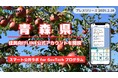 青森県庁が住民向けLINE公式アカウントを開設! プレイネクストラボ株式会社がシステム提供と開設を支援