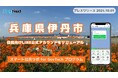 兵庫県伊丹市が住民向けLINE公式アカウントをリニューアル!プレイネクストラボ株式会社がシステム提供と構築を支援