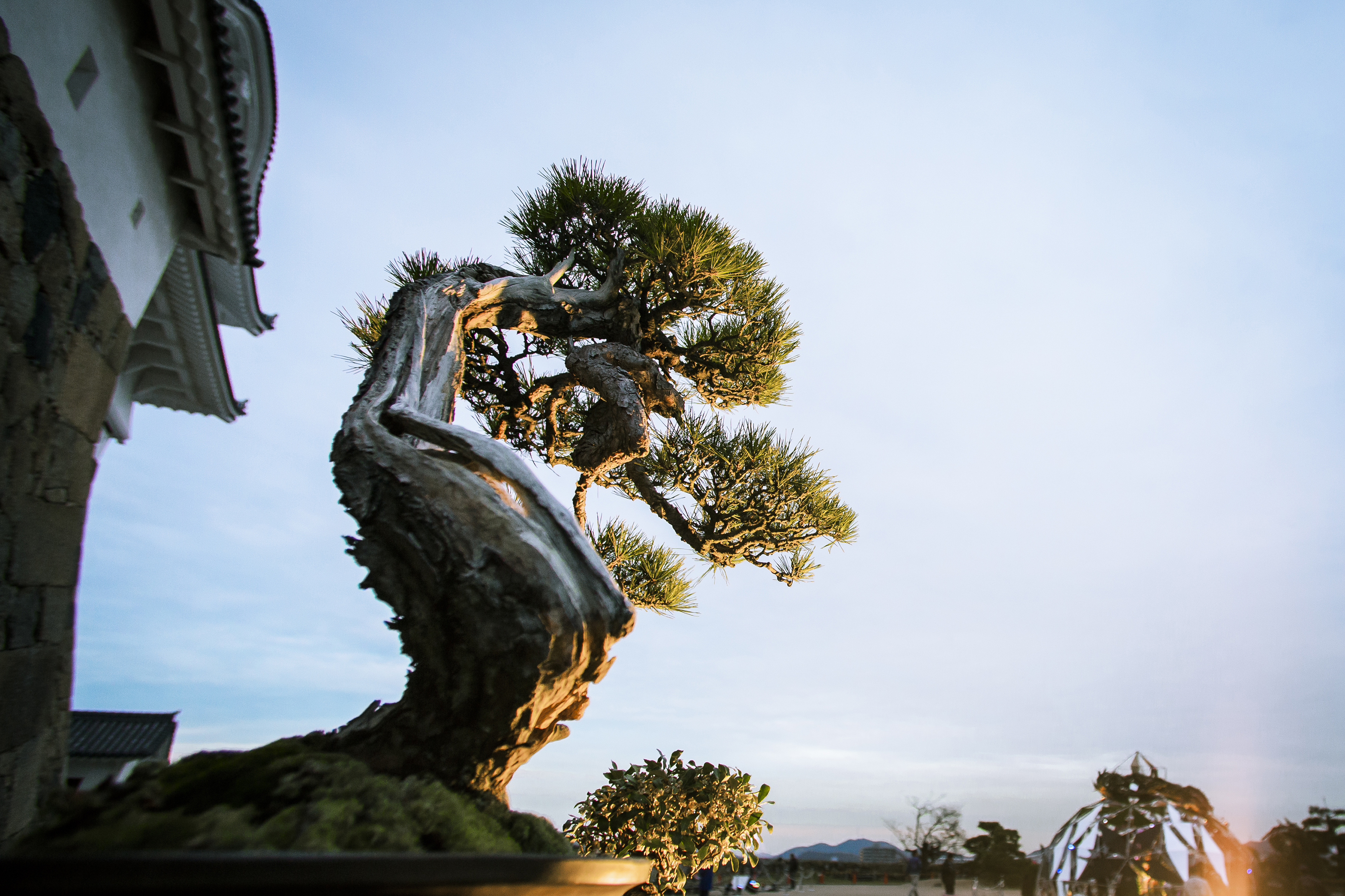 世界遺産 国宝 姫路城 西の丸庭園でくり広げられる伝統 文化とアートの饗宴 姫路城 彩時記 秋 17年11月10日より開催 姫路城 管理事務所のプレスリリース