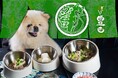 【蕎麦 豊田＠ニュウマン高輪　South　４F】今夏は愛犬と一緒に、テラスで和食と蕎麦を楽しもう！“ワンコ”蕎麦 & 愛犬メニューを7月1日（水）より販売開始！