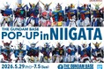 ガンダムグッズ大集合！新潟市マンガ・アニメ情報館にて2026年5月29日(金)より「THE GUNDAM BASE(ガンダムベース) POP-UP in NIIGATA」開催決定！