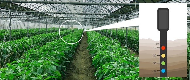 センサーを設置し、地中10cm毎の地温計測