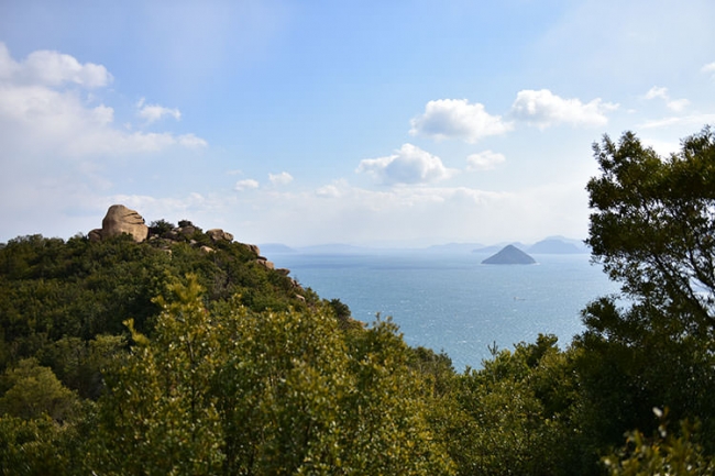 王子が岳の風景