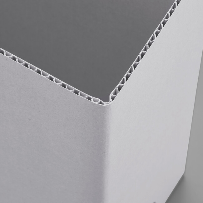 カット面まで同一色 カット面まで同一色