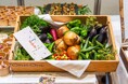 循環型ケータリングプラン『小さな循環を可視化するケータリング by FARM SPOT』をMo:take CATERINGで提供開始