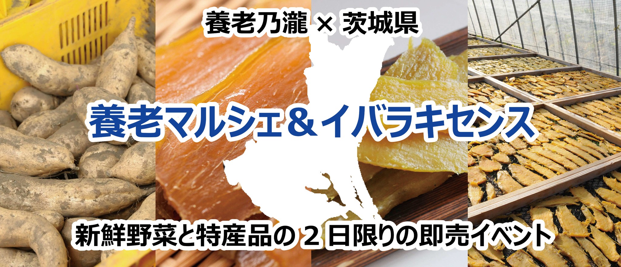 養老乃瀧 茨城県 新鮮野菜と特産品をpr 即売イベント 養老マルシェ イバラキセンス 養老乃瀧 株式会社のプレスリリース