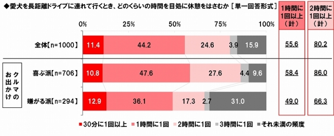 愛犬連れ長距離ドライブ時の休憩頻度