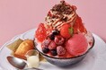 【パティスリー＆カフェデリーモ】まるでパフェのようなかき氷！濃厚ショコラとフルーツにさまざまな味わいを重ねた“パフェ氷” 麻布台ヒルズ店限定で本日販売開始
