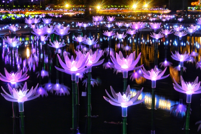 日本三大イルミネーション認定のあしかがフラワーパーク Flower Fantasy 光の花 の庭18 が18年10月27日 土 より開催 株式会社足利フラワーリゾートのプレスリリース