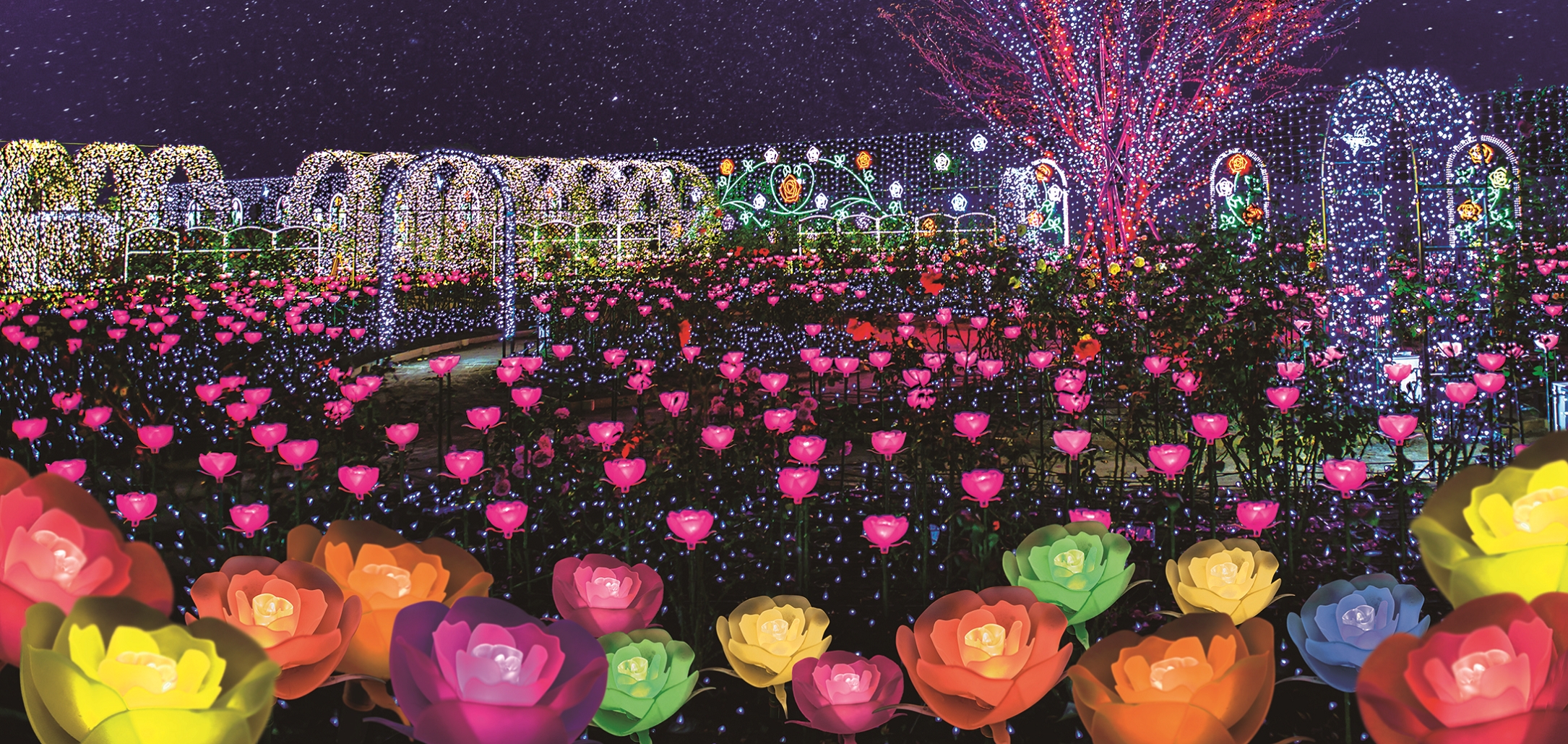 日本三大イルミネーション認定の栄冠に続き あしかがフラワーパークの 光の花 の庭 が2年連続でイルミネーションアワードにおいてランキング全国第1位を獲得 株式会社足利フラワーリゾートのプレスリリース