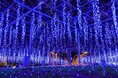 『その香り、春の記憶』~光と香りに包まれるイマーシブ型イルミネーション~