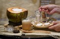 ココナッツ専門店『クマココ』にてフィリピン直送の濃厚なココナッツミルクで作るホットドリンクが続々登場!新商品「まるごとココナッツプレミアムミルクティー」販売