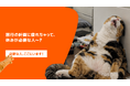 Klook、疲れ果てた「旅の幹事」5名に至れり尽くせりのご褒美スイス旅行をプレゼント
