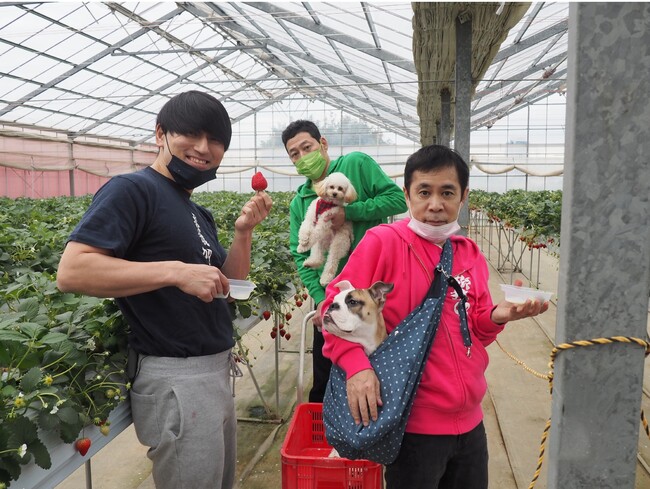 〜ワンちゃんと軽キャンピングカーの旅〜 〜ワンちゃんと軽キャンピングカーの旅〜