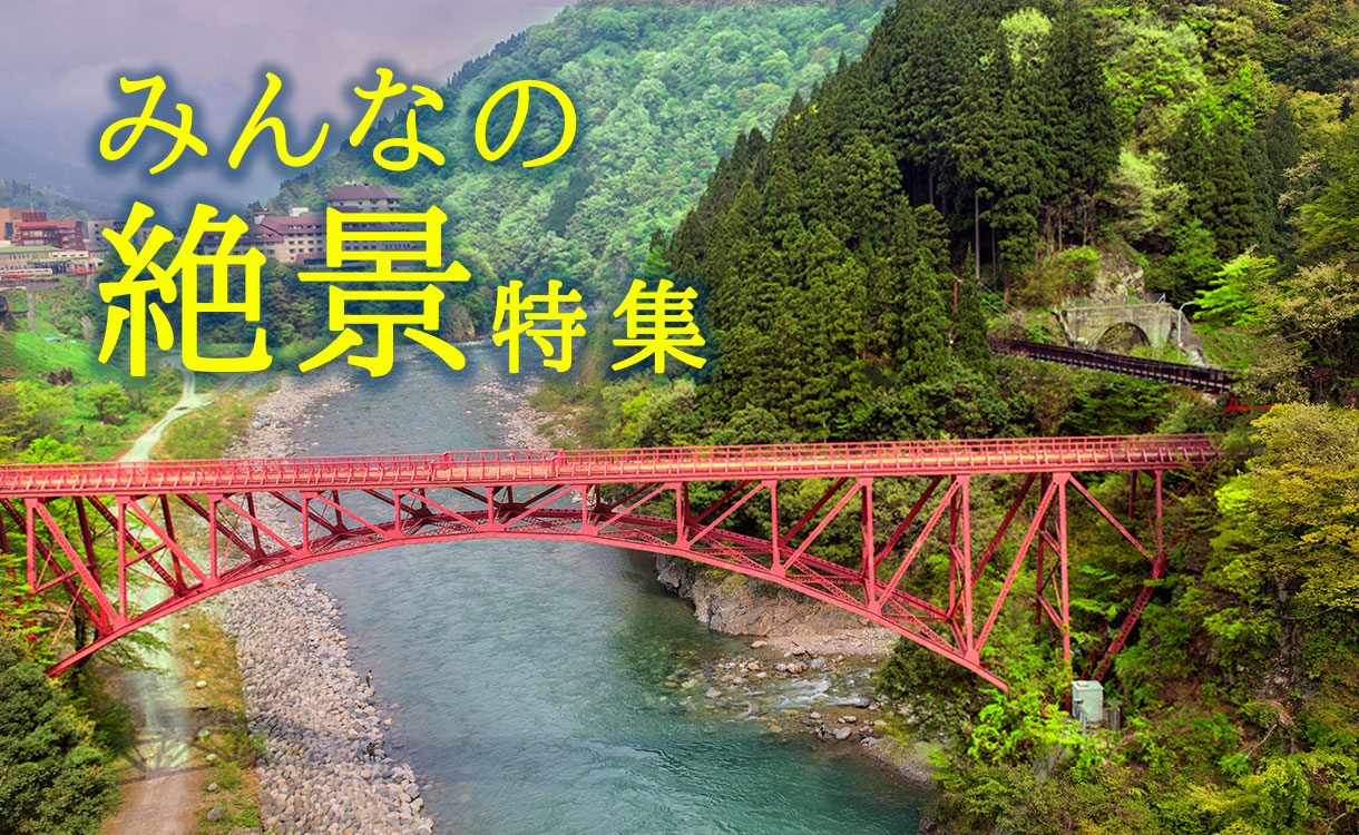 D29556 25 112930 0