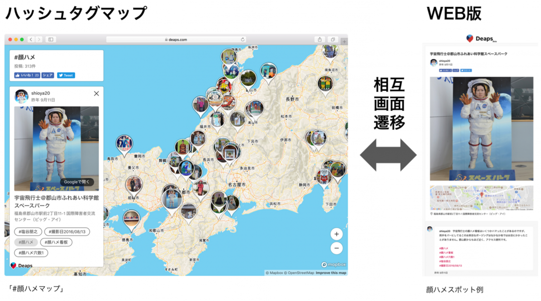 D29556 29 799799 4