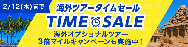 Anaトラベラーズ 海外ツアータイムセール開始 Ana X株式会社のプレスリリース