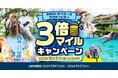 国内・海外の「ANAトラベラーズ アクティビティ」をリニューアル