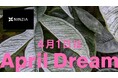 四国山地に新型マイクロプラントを設置。在来種の蒟蒻芋産業の活性化を目指す