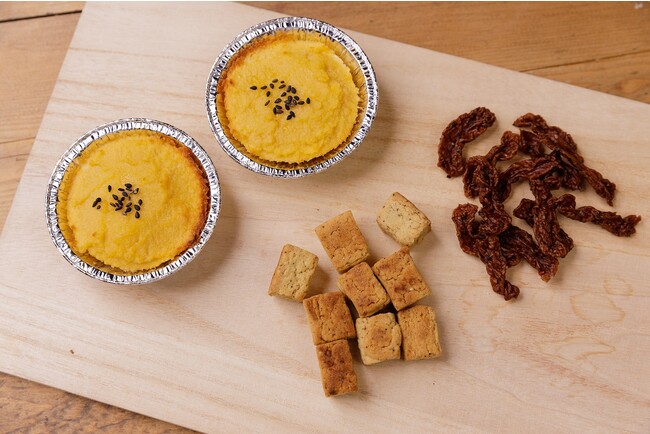 過去の様々な試作