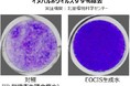 ペット感染症原因ウイルスへの効果を実証      EOCIS技術でペットと安心できる快適な生活を