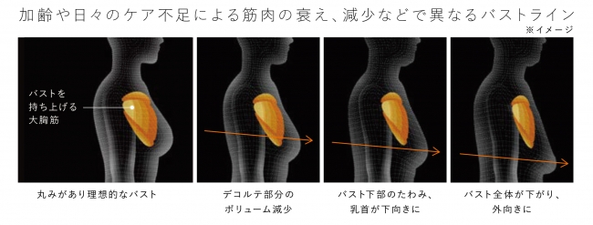 SIXPAD』から胸部を効率的に鍛える「SIXPAD Chest Fit」予約販売開始