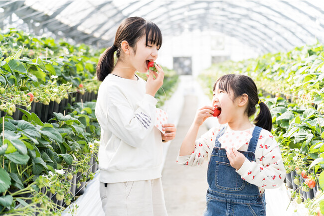 冬地域の魅力