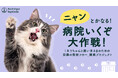 全国の猫の飼い主を対象に【動物病院受診に関する実態調査】を実施7割以上の飼い主が「猫の受診ジレンマ」※を感じていることが判明