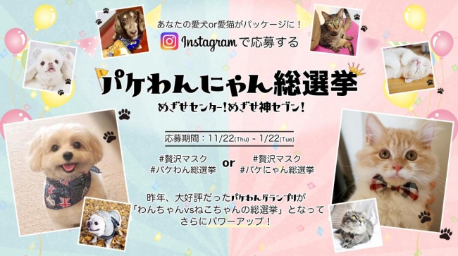 あなたの愛犬or愛猫が大人の贅沢マスクのパッケージに！「パケわん