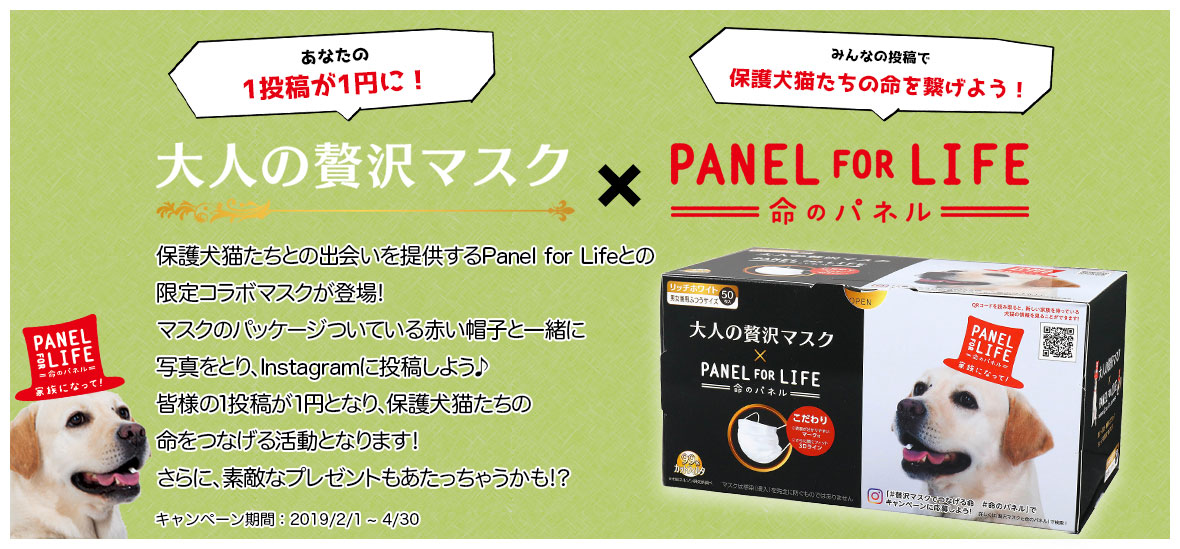 あなたの１投稿が保護犬猫たちの命をつなぐ 贅沢マスク Panel For Life 原田産業株式会社のプレスリリース