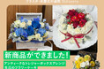 【お祝い花販売プラットフォームSakaseru】 アンティークなトレジャーボックスアレンジと生花のフラワーケーキが新商品に追加