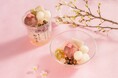 【桜の季節限定】春の訪れを知らせる桜の花を添えた「桜白玉あんみつ」を2025年3月5日(水)より販売開始