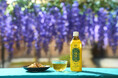 【新商品&キャンペーン】乳酸菌生活サポート飲料「福緑」が2025年4月12日(土)に新発売!