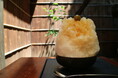 【8・9月限定】くず餅乳酸菌®入りかき氷シリーズからさっぱり爽やかな「青梅」が登場