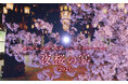 【ホテルニューグランド】歴史的建造物で春を堪能するお花見ディナーイベント「夜桜の宴-2025-」
