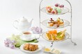 【ホテルニューグランド】<ガーデンネックレス横浜2025連携商品>花と緑のアフタヌーンティー(ロビーラウンジ ラ・テラス)