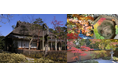 一条恵観山荘 入園券付き宿泊プラン販売