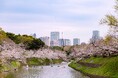 【東京ステーションホテル】ホテルから始まる桜体験
